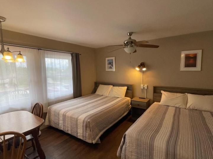 Hill View Motel And Cottages بحيرة جورج المظهر الخارجي الصورة